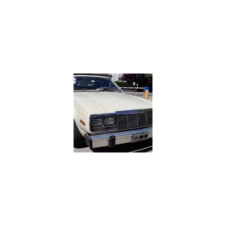 1979 amc rambler american hardtop