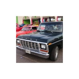 1979 ford serie pickup