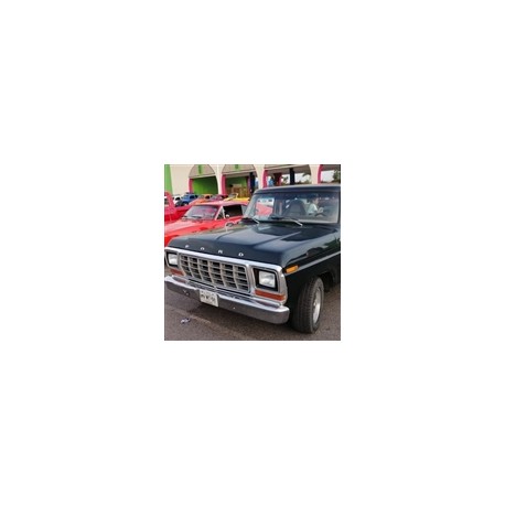1979 ford serie pickup