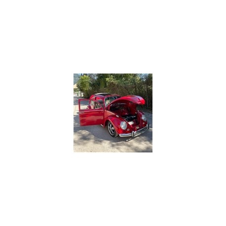 1969 volkswagen vocho sedan