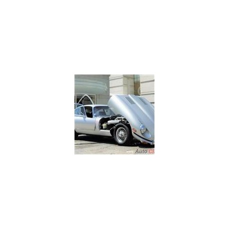 1970 otro jaguar e type coupe