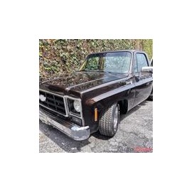 1979 chevrolet pickp  cheyenne c10 classica pickup