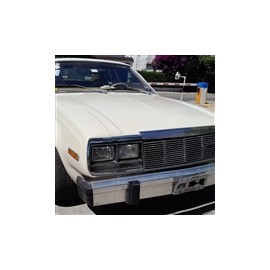 1979 amc rambler american hardtop