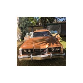 1974 ford guayin vagoneta