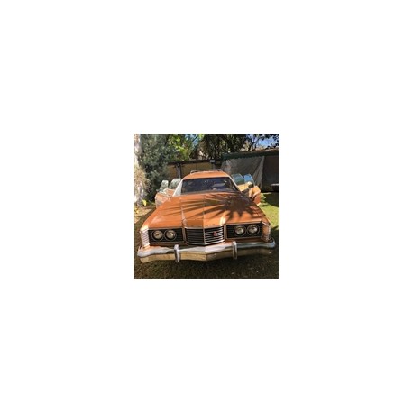 1974 ford guayin vagoneta