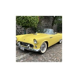 1955 ford thunderbird convertible