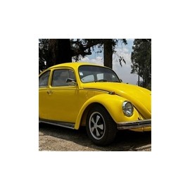 1973 volkswagen escarabajo sedan