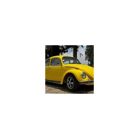 1973 volkswagen escarabajo sedan